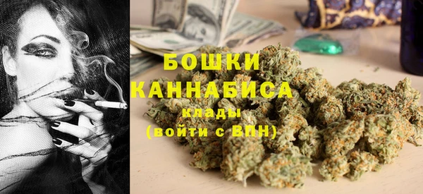 ПСИЛОЦИБИНОВЫЕ ГРИБЫ Белоозёрский
