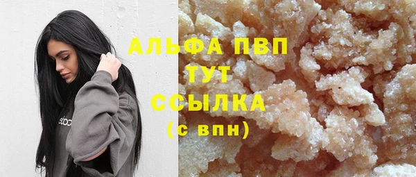 ПСИЛОЦИБИНОВЫЕ ГРИБЫ Белоозёрский
