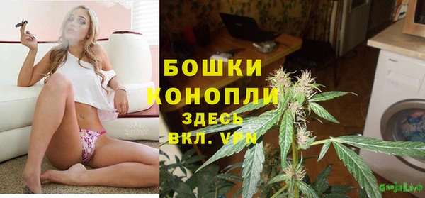 спиды Осинники