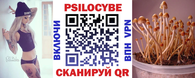 дарнет шоп  Пионерский  Псилоцибиновые грибы Cubensis 
