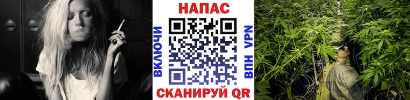 МАРИХУАНА OG Kush  Пионерский 